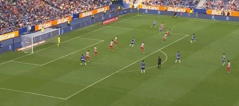 1754266942492059655.gif 1754266942492059655.gif